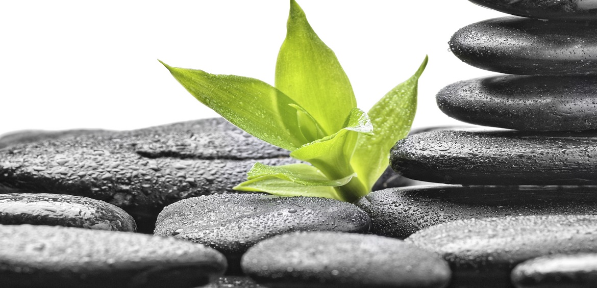 Golden Lotus  Massage